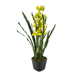 Artificial 30" Double Cymbidium Orchid, Green