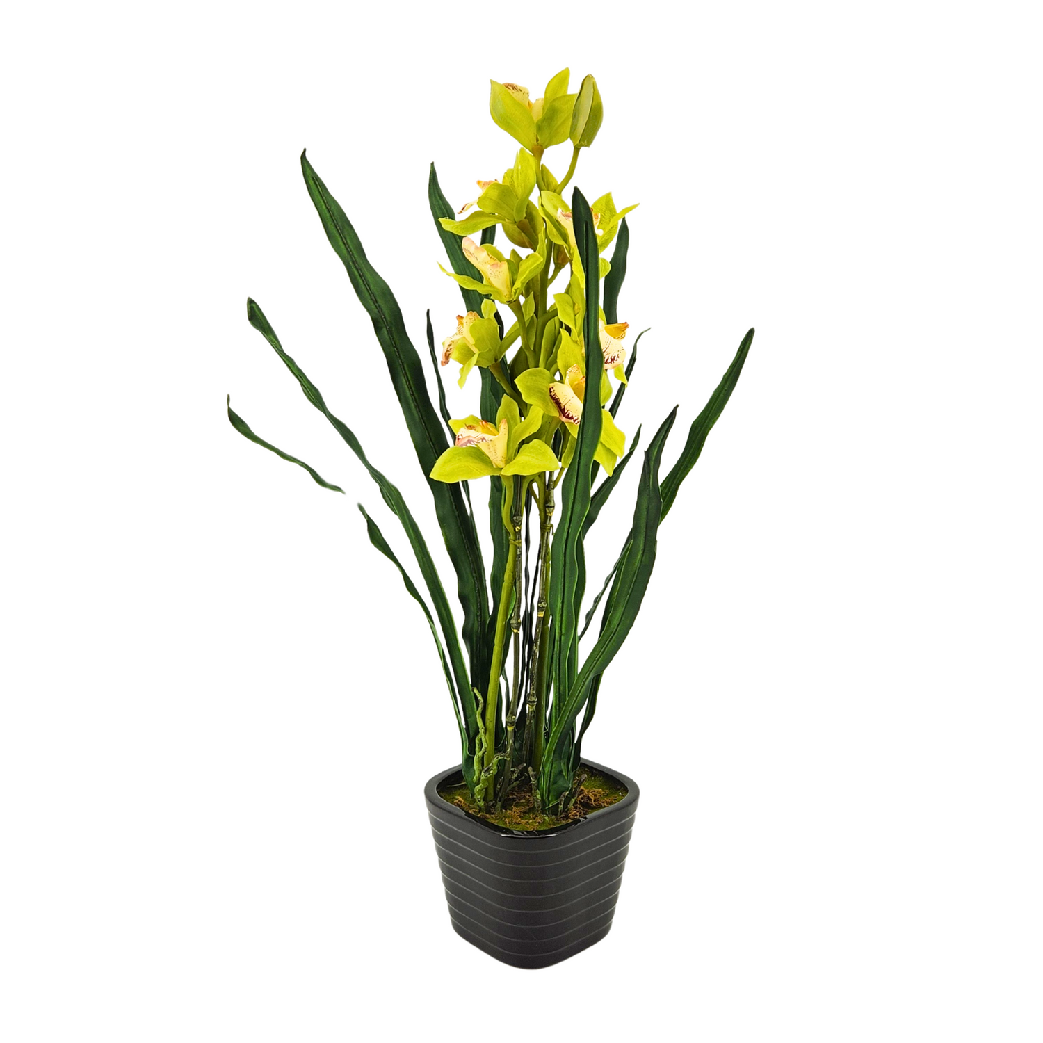 Artificial 30" Double Cymbidium Orchid, Green