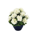 Navy blue pot with white flowers on a white background