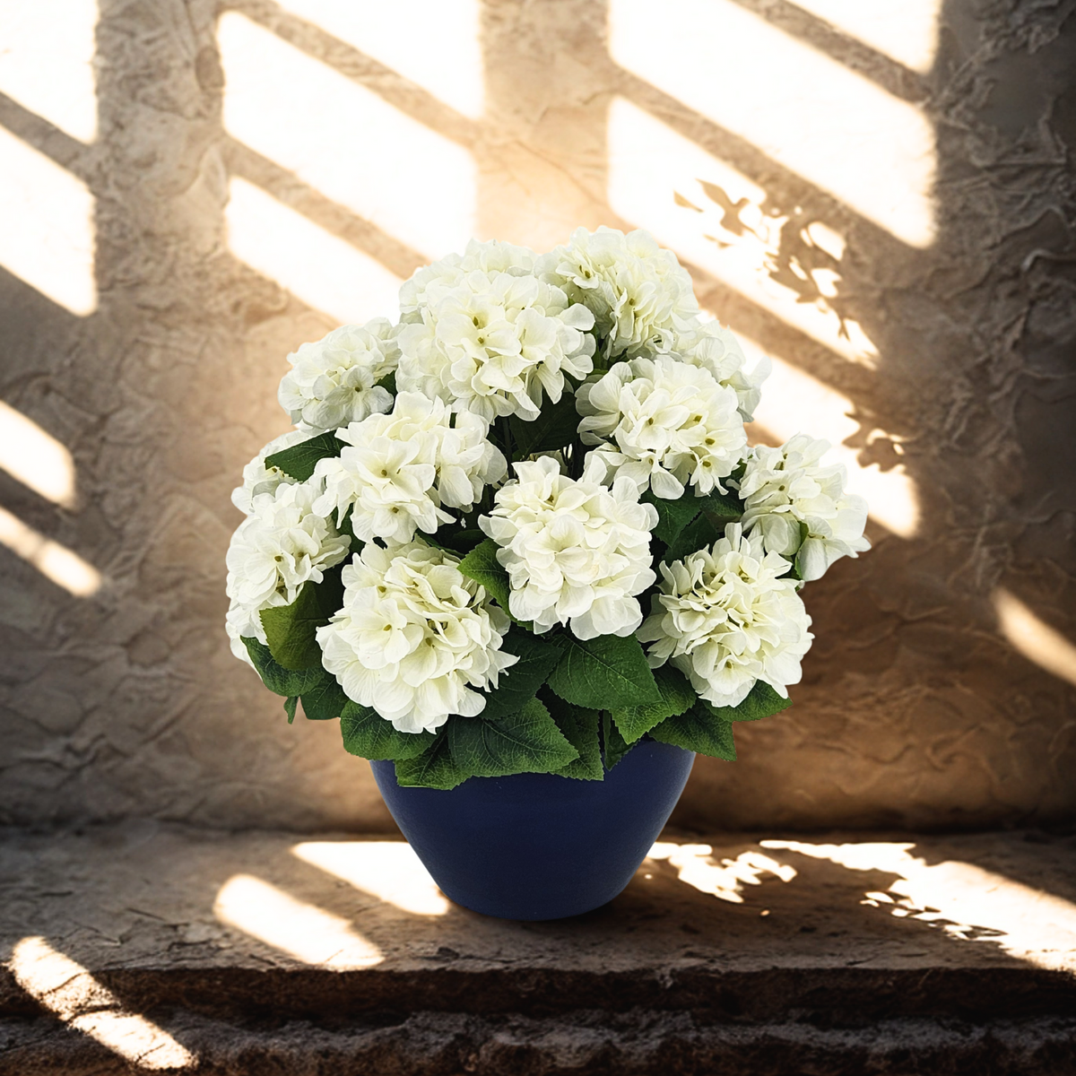 Potted plant with white flowers and green leaves on a textured stone surface