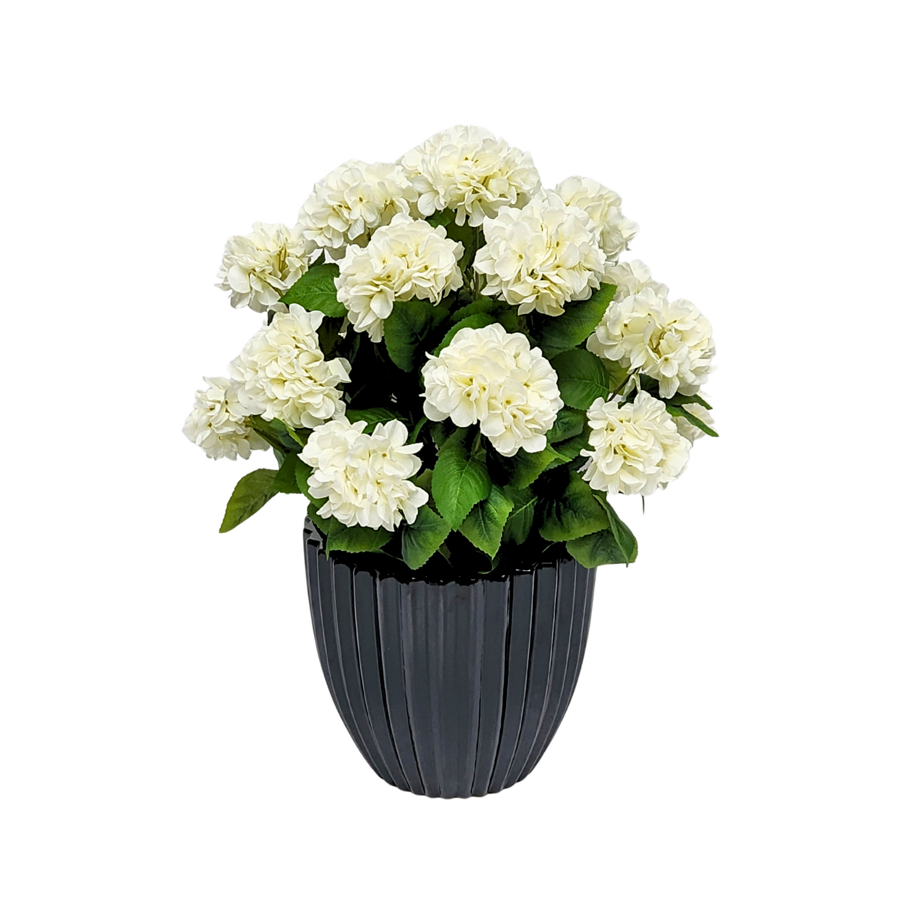 Artificial White hydrangea by House of Silk Flowers in a Glossy Black Ceramic