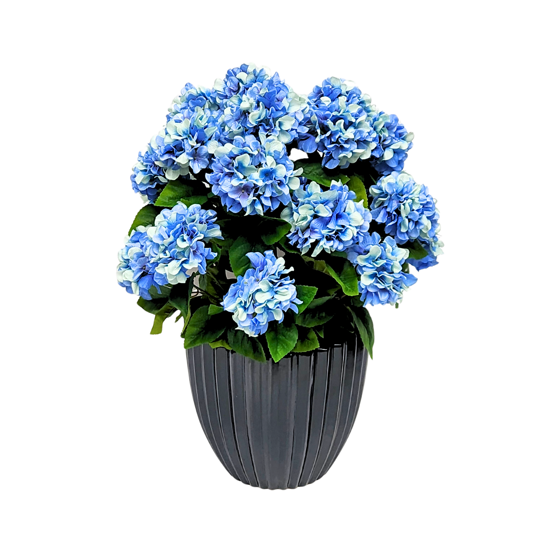 Artificial Blue hydrangea by House of Silk Flowers in a Glossy Black Ceramic