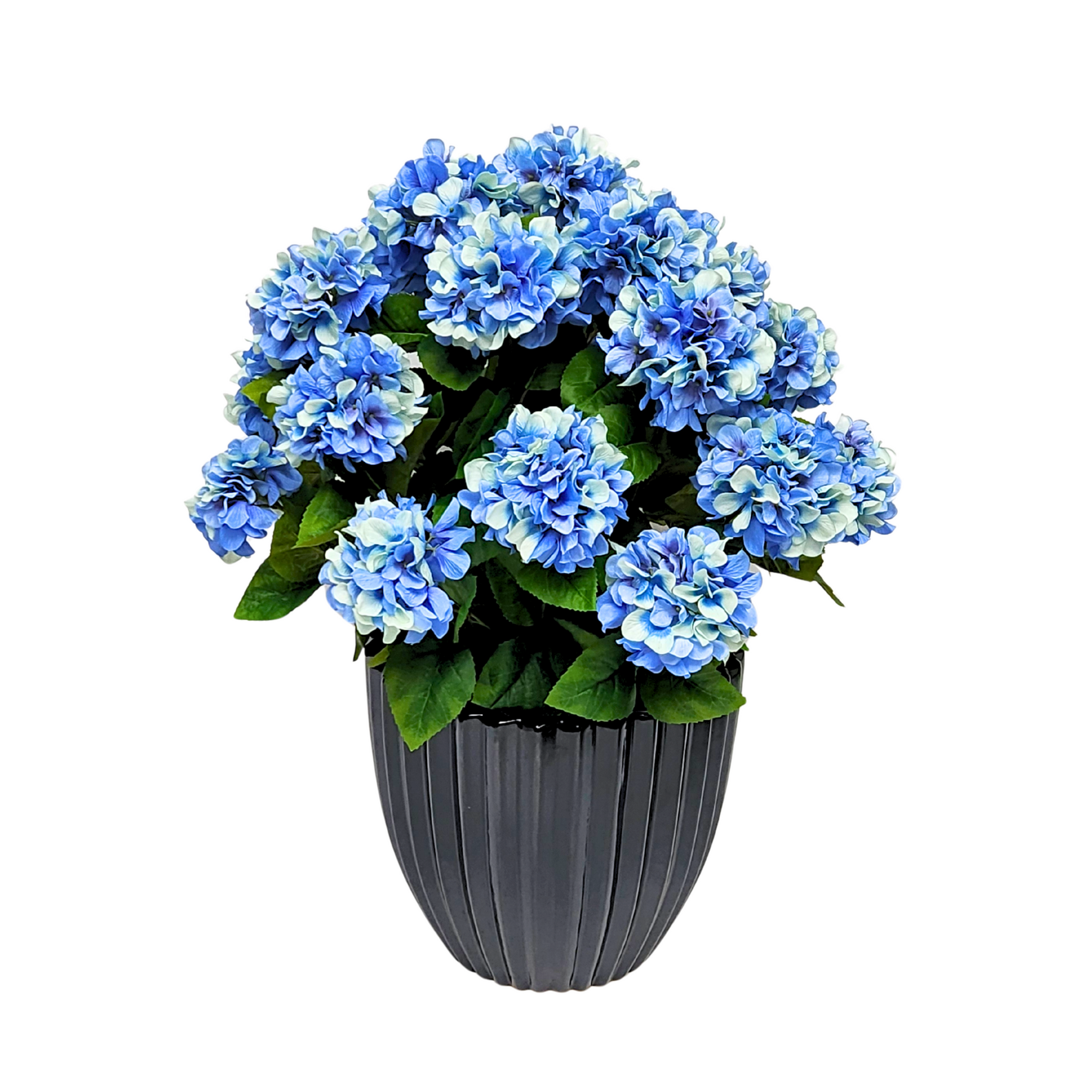 Artificial Blue hydrangea by House of Silk Flowers in a Glossy Black Ceramic