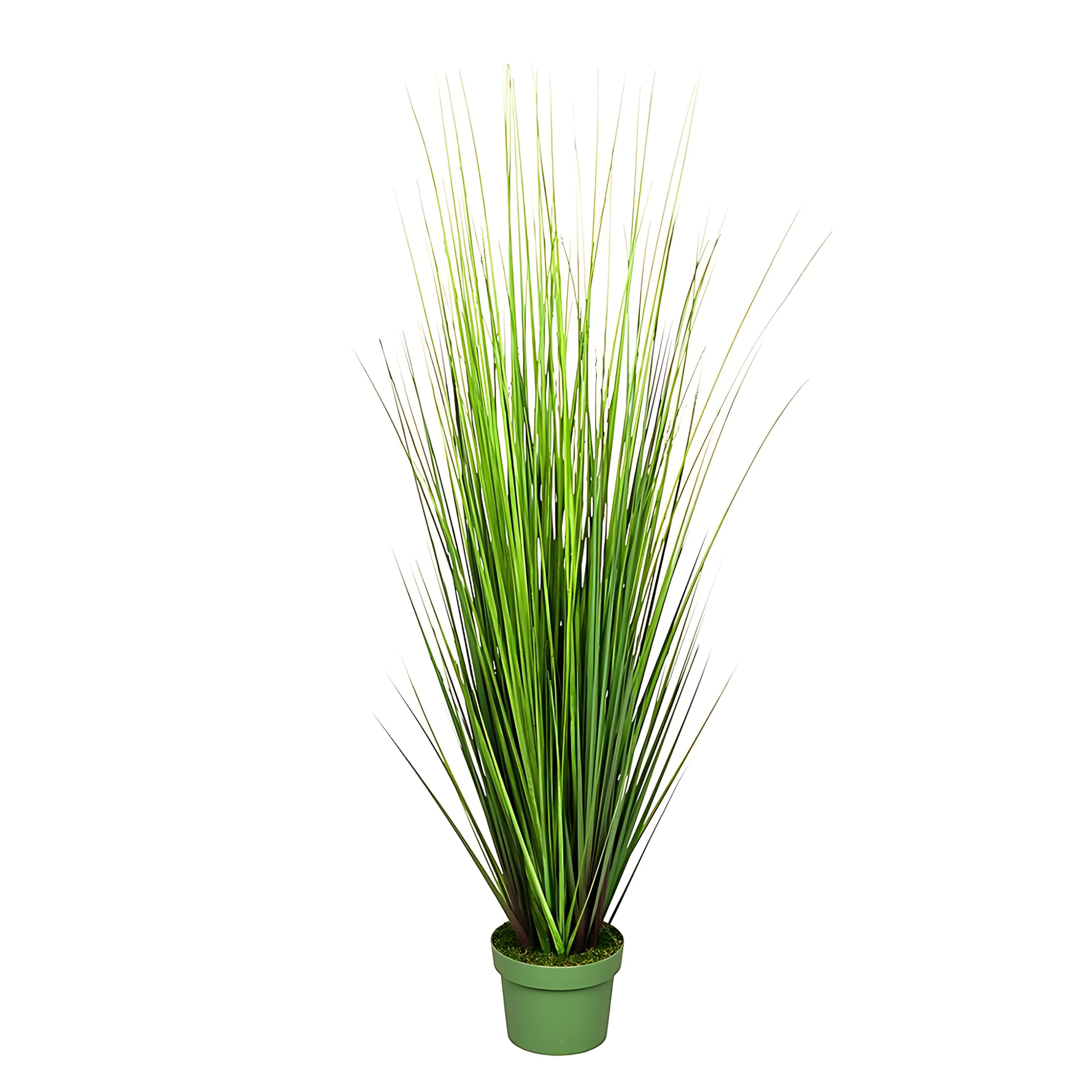 Faux 42-inch Green Onion Grass in green nursery pot on a white background, by House of Silk Flowers.