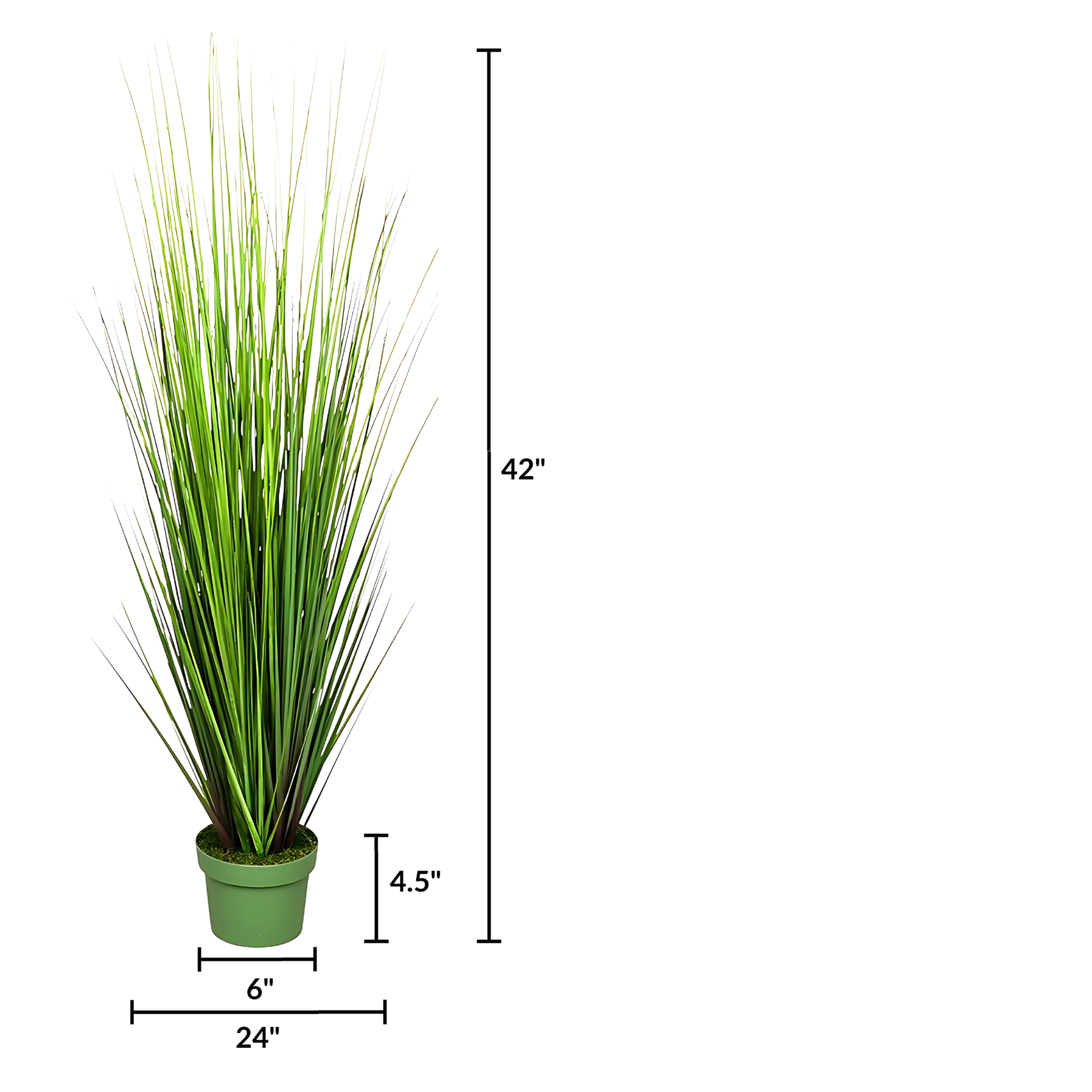 Faux 42-inch Green Onion Grass in green nursery pot on a white background, featuring product measurements, by House of Silk Flowers.