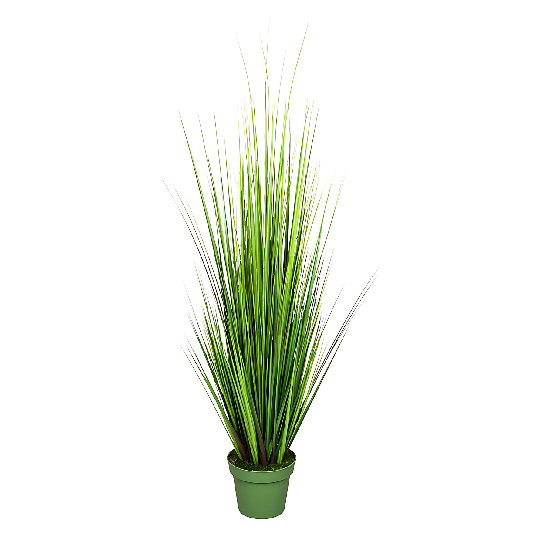 Faux 55-inch Green Onion Grass in green nursery pot on a white background, by House of Silk Flowers.