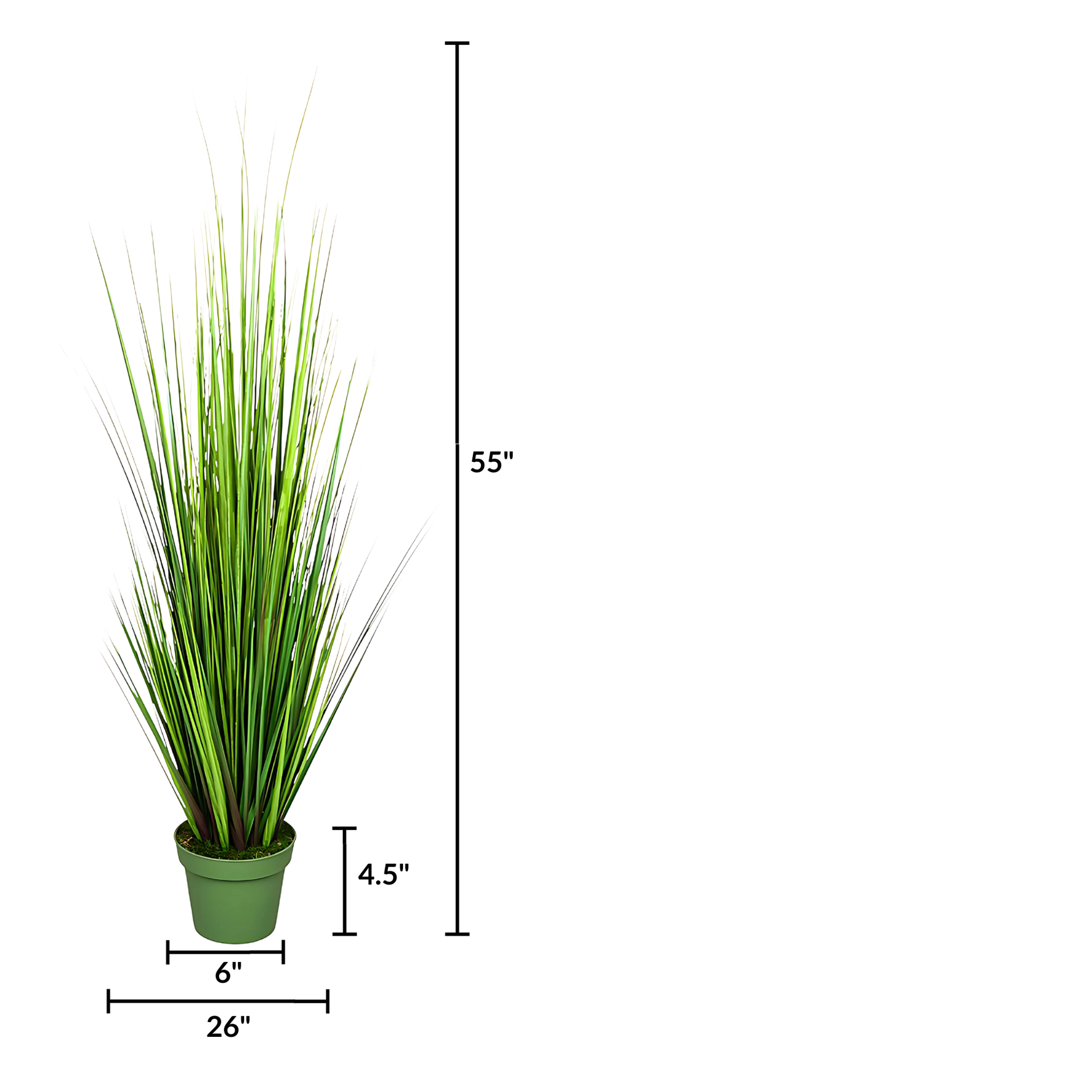Faux 55-inch Green Onion Grass in green nursery pot on a white background, featuring product measurements, by House of Silk Flowers.