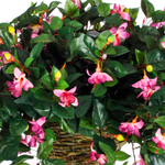 Artificial Fuchsia Hanging Basket - House of Silk Flowers®
 - 15
