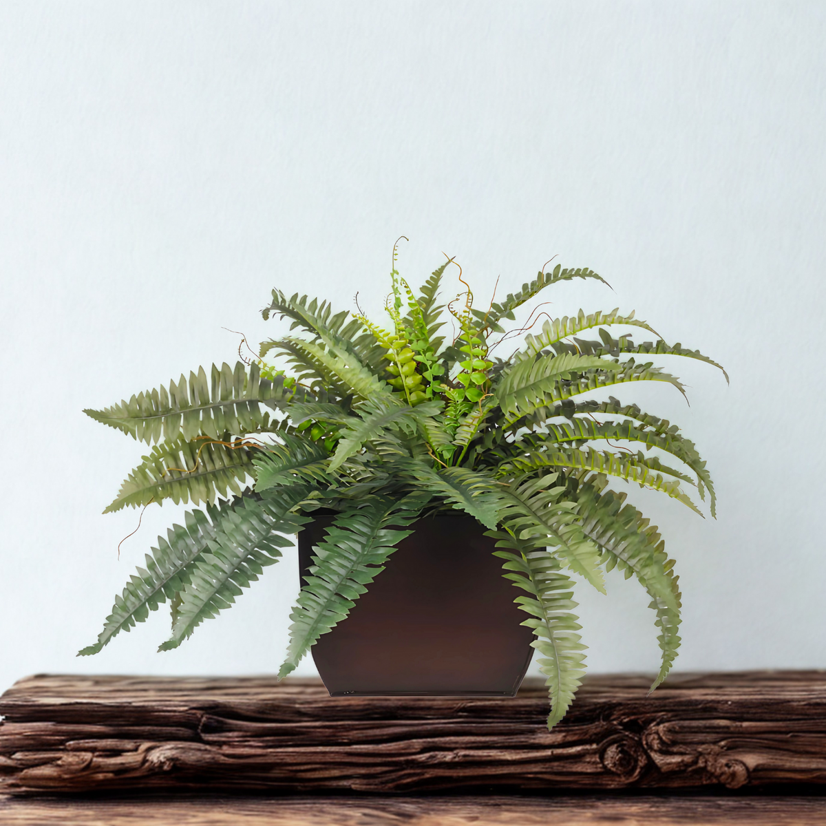 Faux Boston fern in a glossy brown zinc planter on a wooden surface against a white backdrop, by House of Silk Flowers.