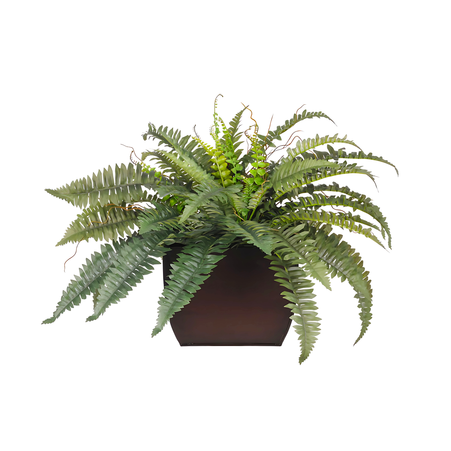 Faux Boston fern in a glossy brown zinc planter against a white background, by House of Silk Flowers.