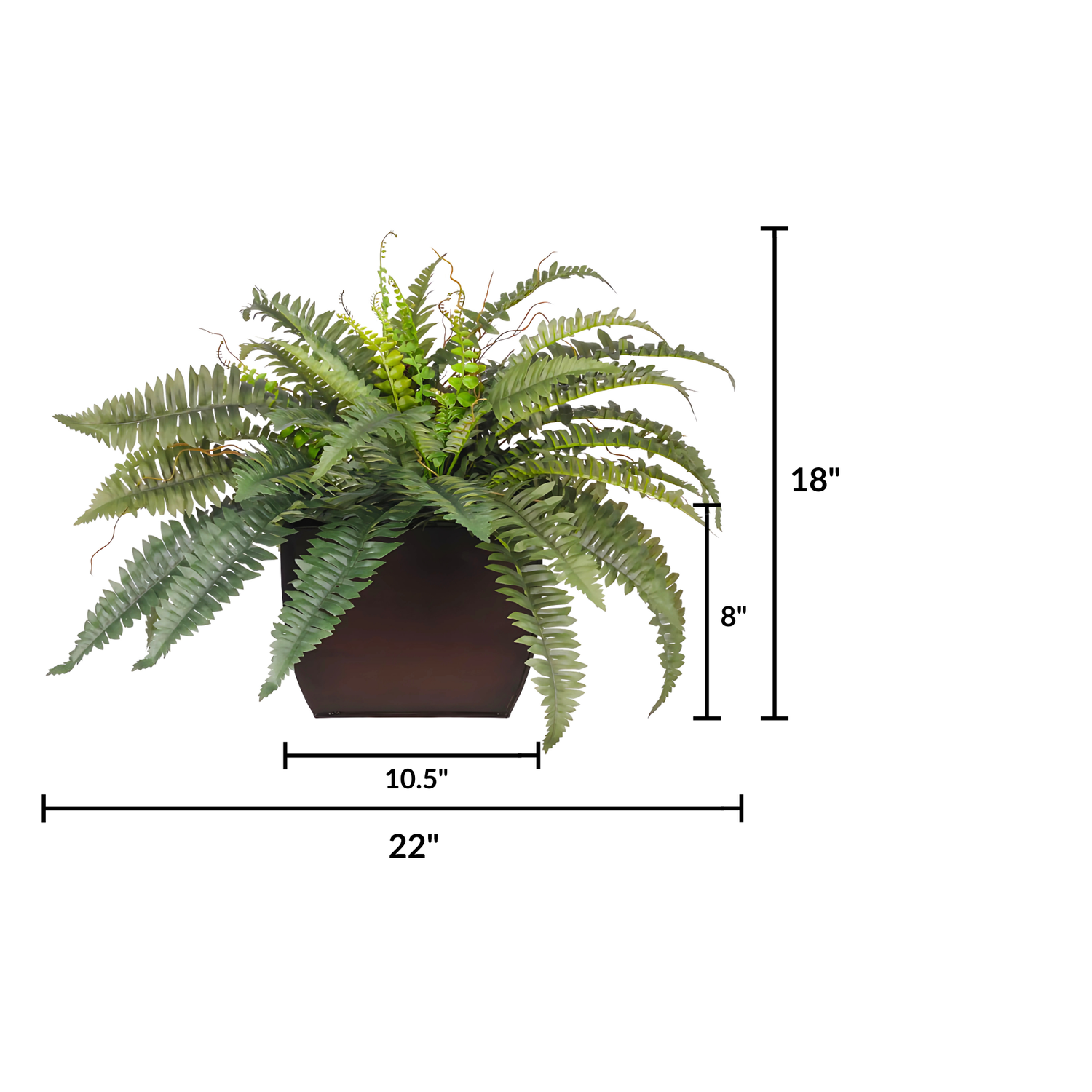 Faux Boston fern in a glossy brown zinc planter against a white background, featuring measurements, by House of Silk Flowers.