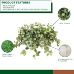 Faux pothos in white-wash wood ledge against a white background, highlighting product features, by House of Silk Flowers.