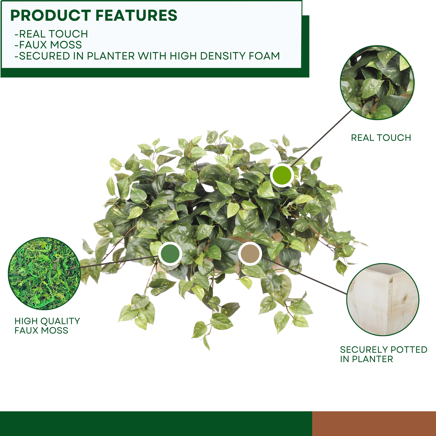 Faux pothos in white-wash wood ledge against a white background, highlighting product features, by House of Silk Flowers.