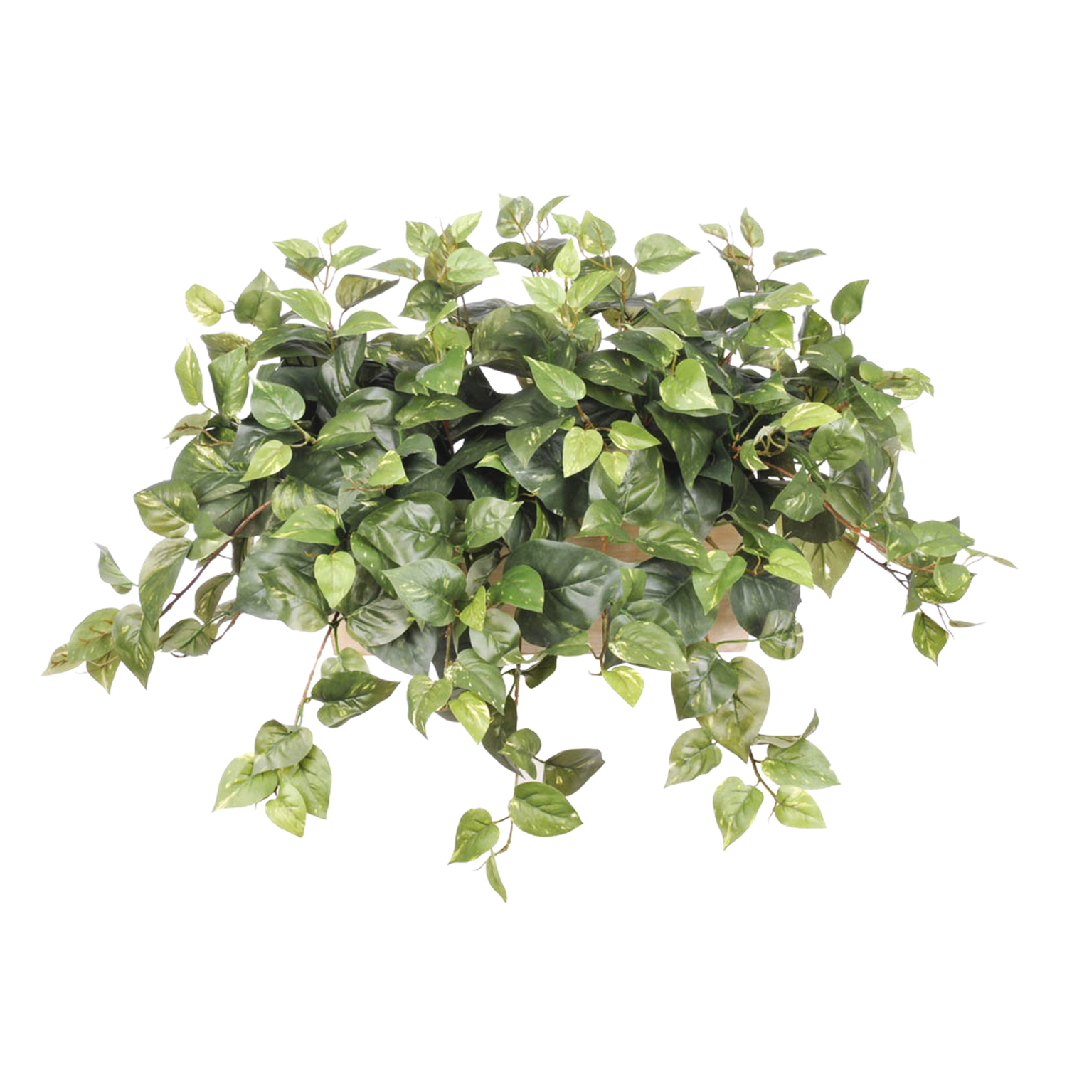 Faux pothos in white-wash wood ledge against a white background, by House of Silk Flowers.