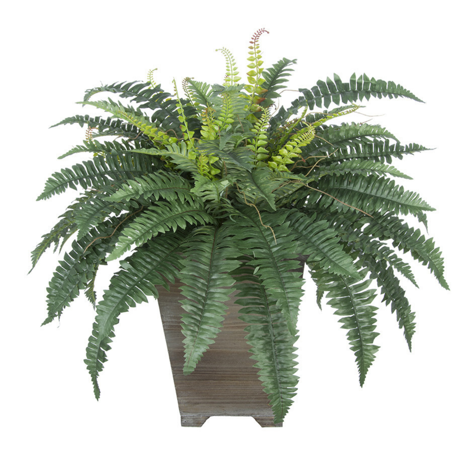 Artificial Fern in Small Washed Wood Planter