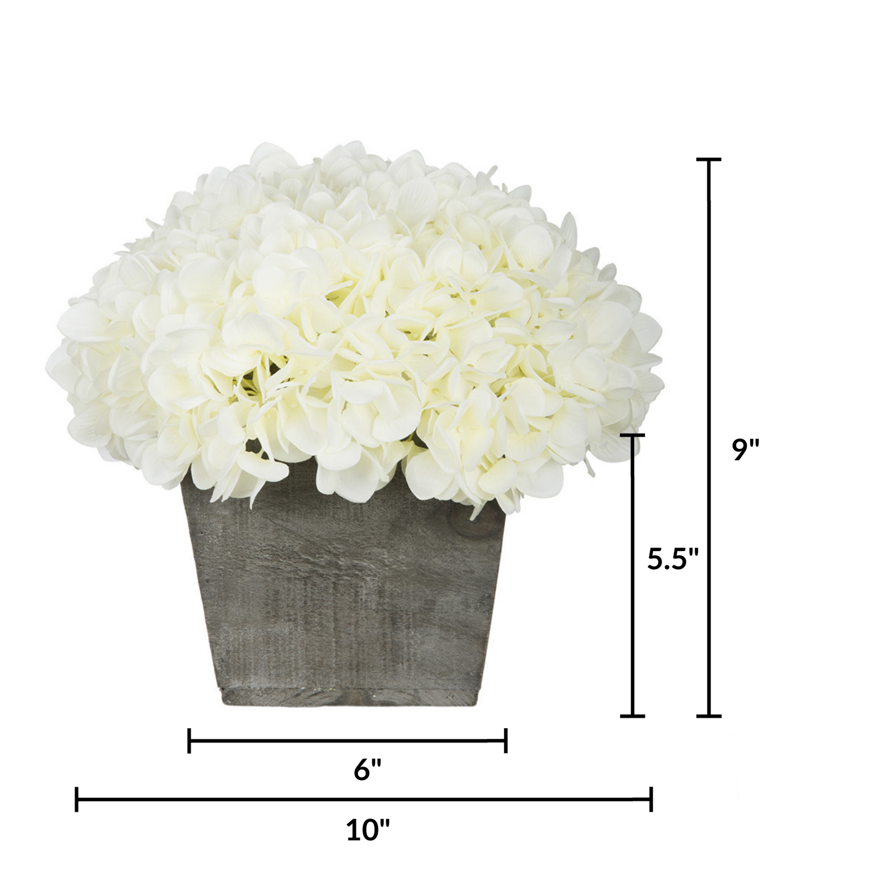 White hydrangeas in a wooden box with dimensions displayed