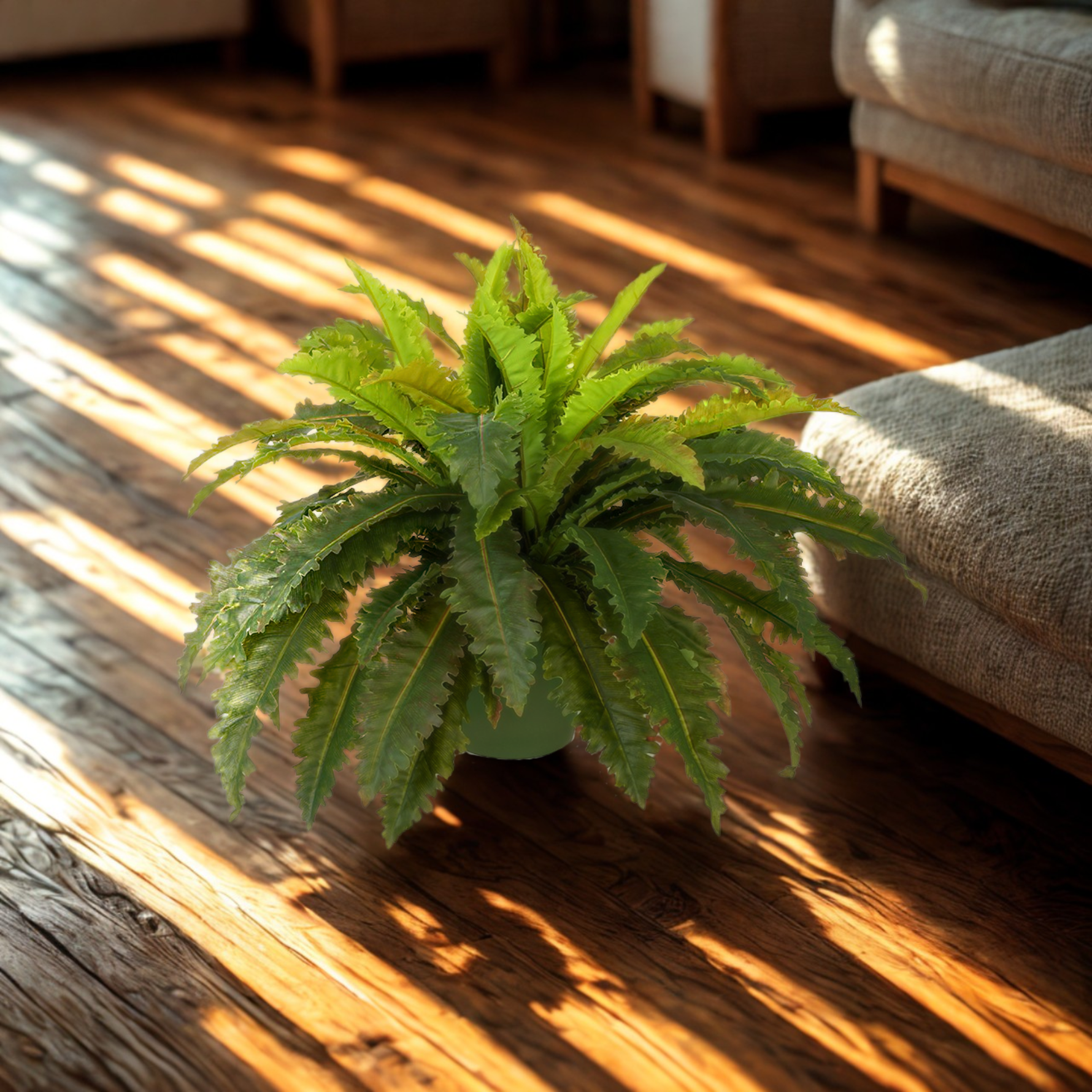 Faux large marginatum in a green nursery pot on a living room floor, by House of Silk Flowers.