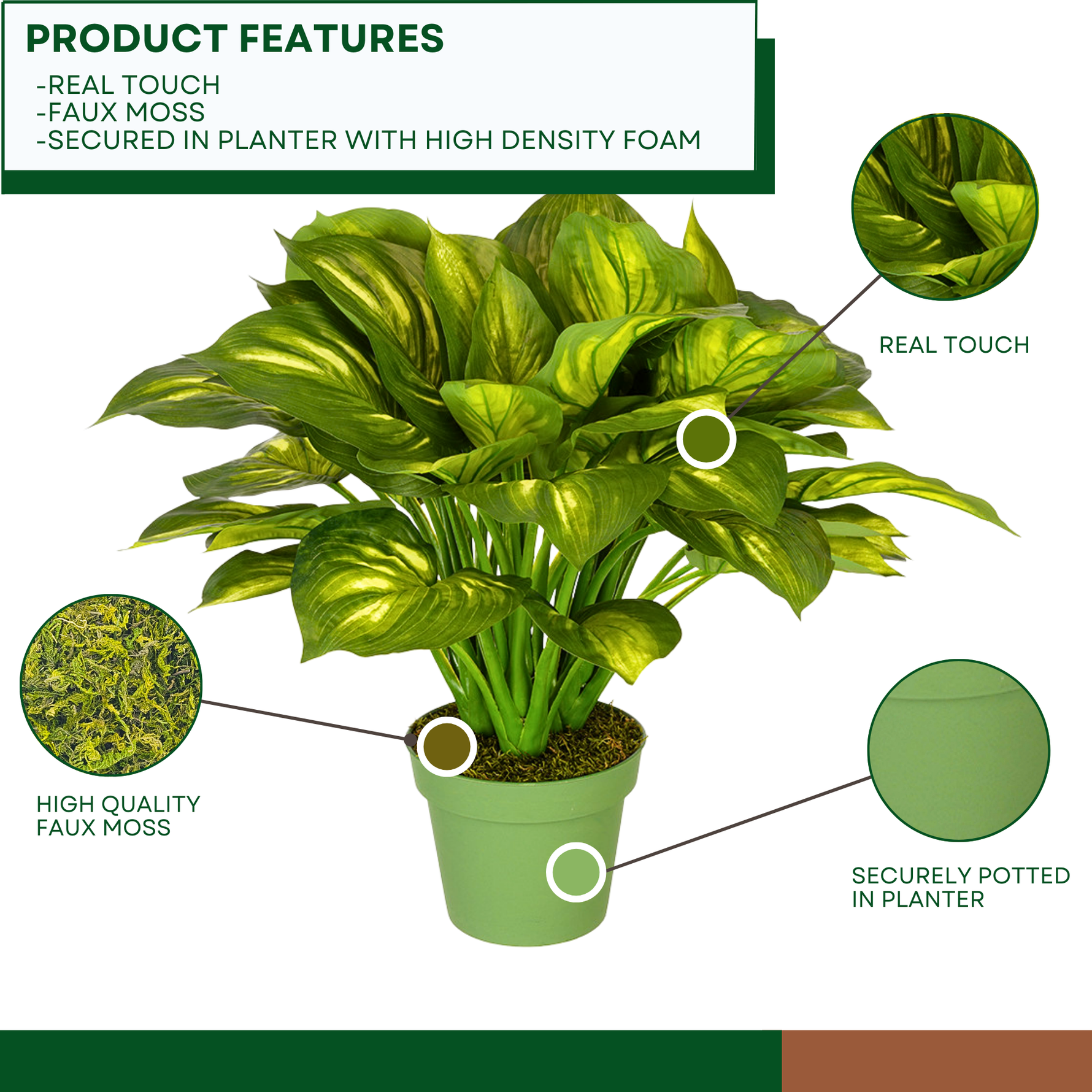 Artificial Large Hosta in green nursery pot on a white background, with product features, by House of Silk Flowers