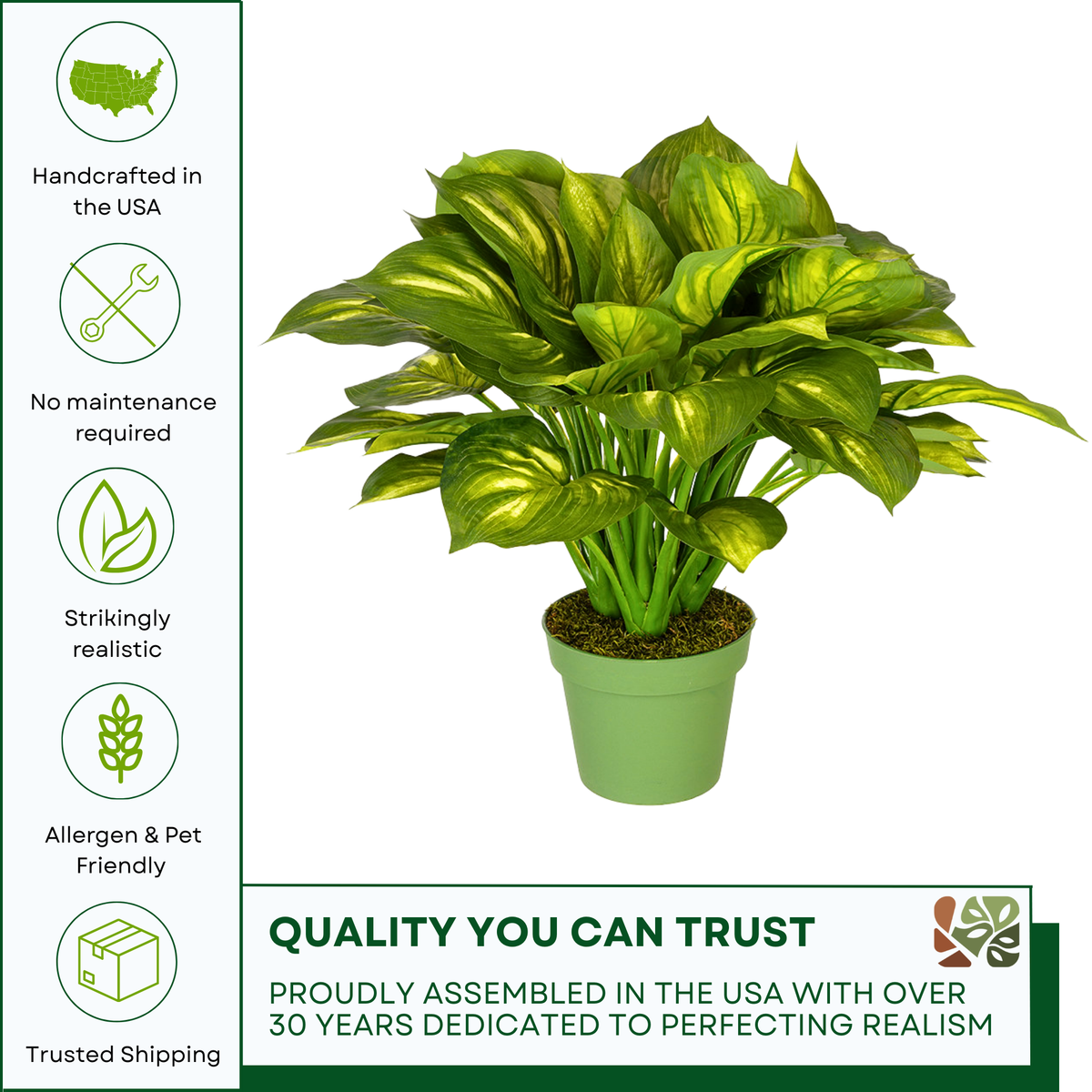 Artificial Large Hosta in green nursery pot on a white background, featuring quality assurances, by House of Silk Flowers
