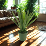 Faux Yucca plant in green nursery pot, sitting on a living room floor, by House of Silk Flowers.