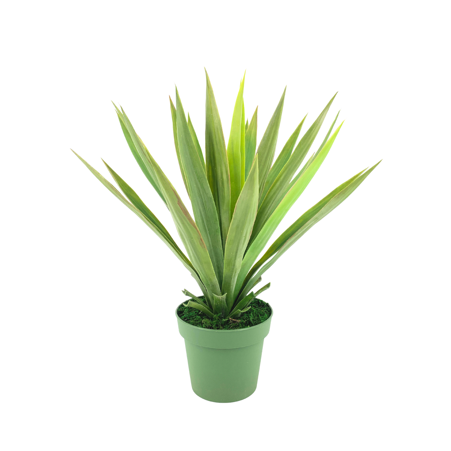 Faux Yucca plant in green nursery pot against white background, by House of Silk Flowers.