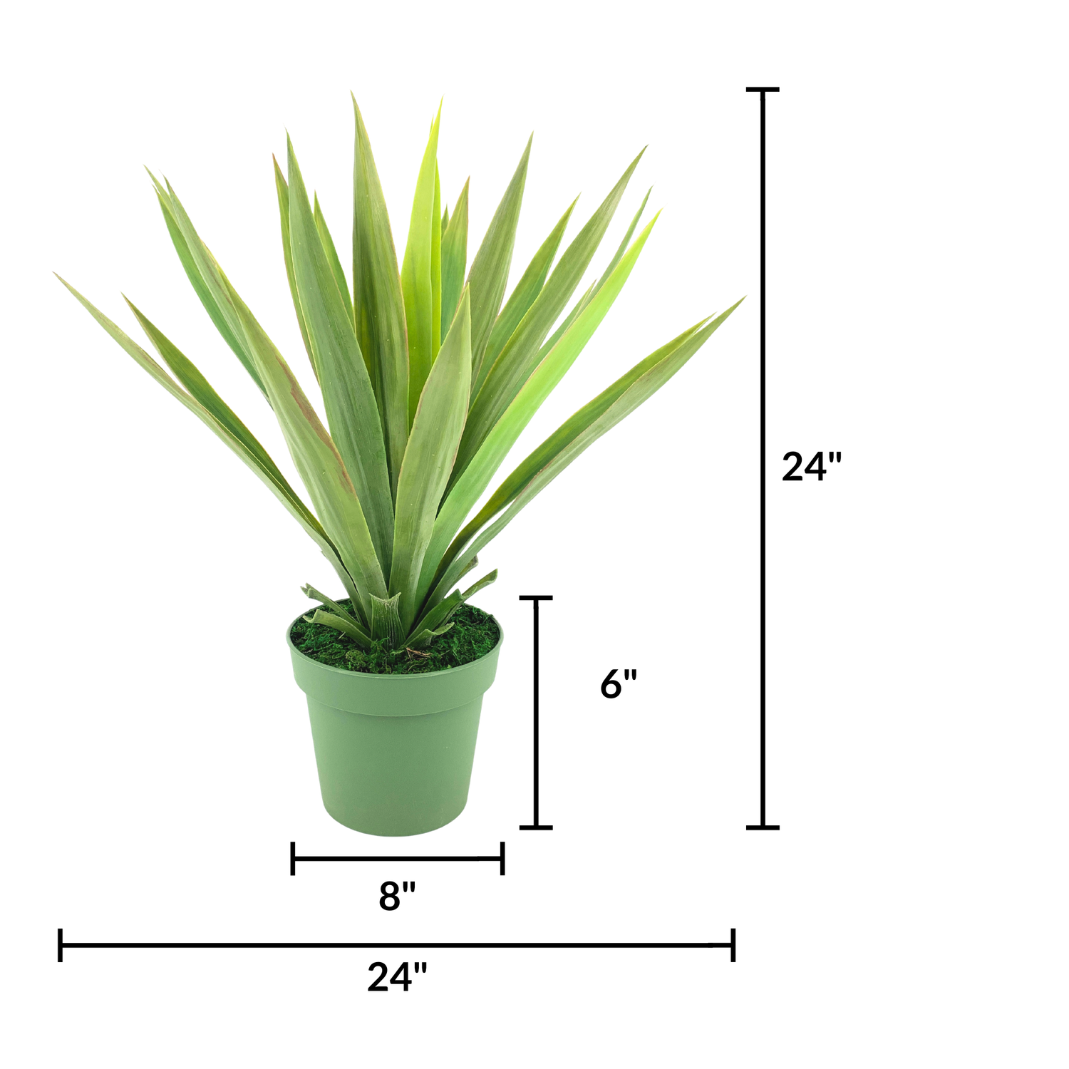 Faux Yucca plant in green nursery pot against white background, featuring product measurements, by House of Silk Flowers.