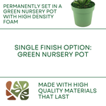 Faux Yucca plant in green nursery pot against white background, featuring product finish options, by House of Silk Flowers.