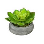 Artificial Echeveria in Washed Bowl Ceramic House of Silk Flowers® - 4