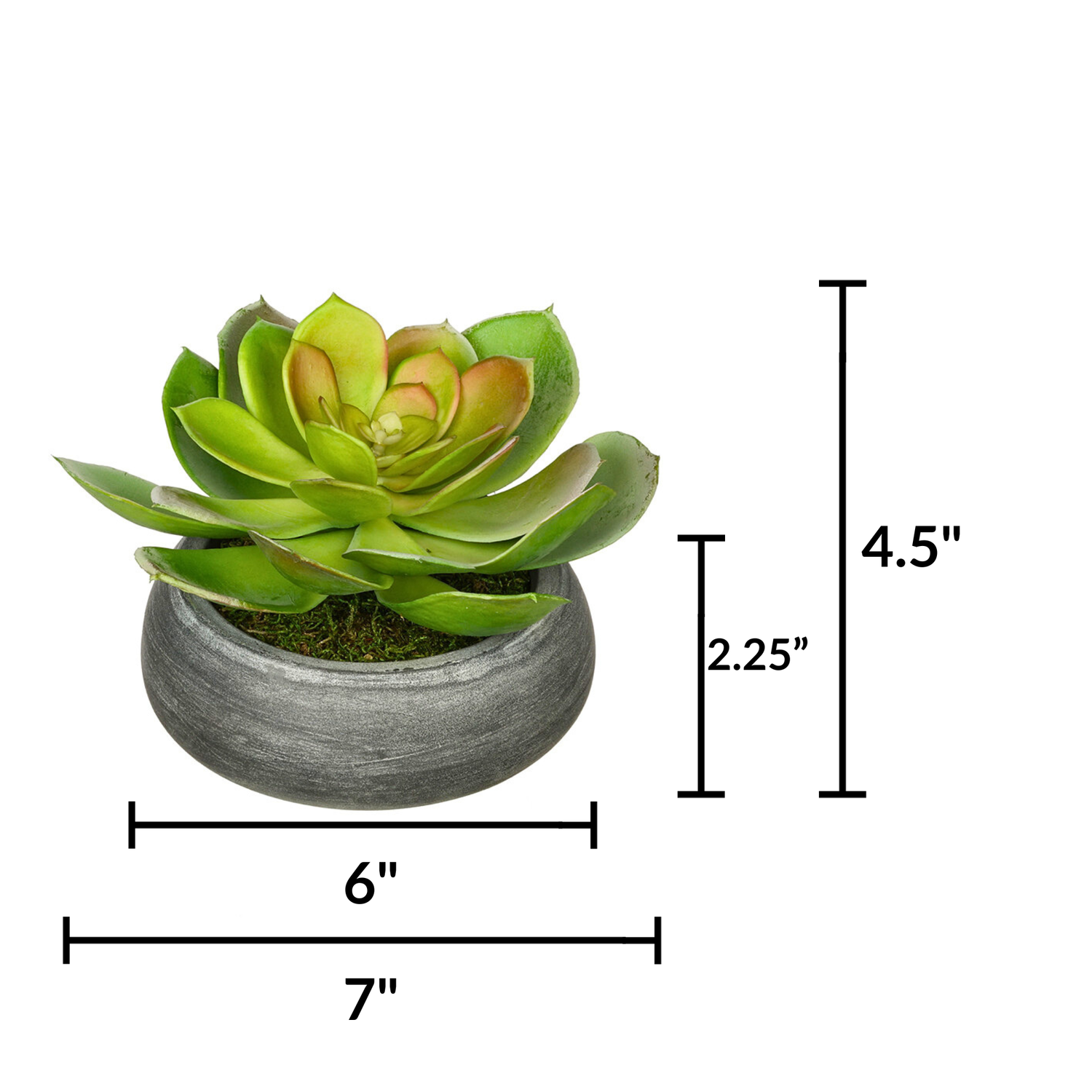 Artificial Echeveria in Washed Bowl Ceramic