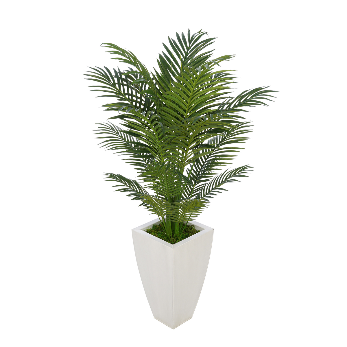 Faux 4.5 ft areca palm in cream tapered square zinc against a white background, by House of Silk Flowers.