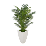 Faux 4.5 ft areca palm in cream tapered square zinc against a white background, by House of Silk Flowers.