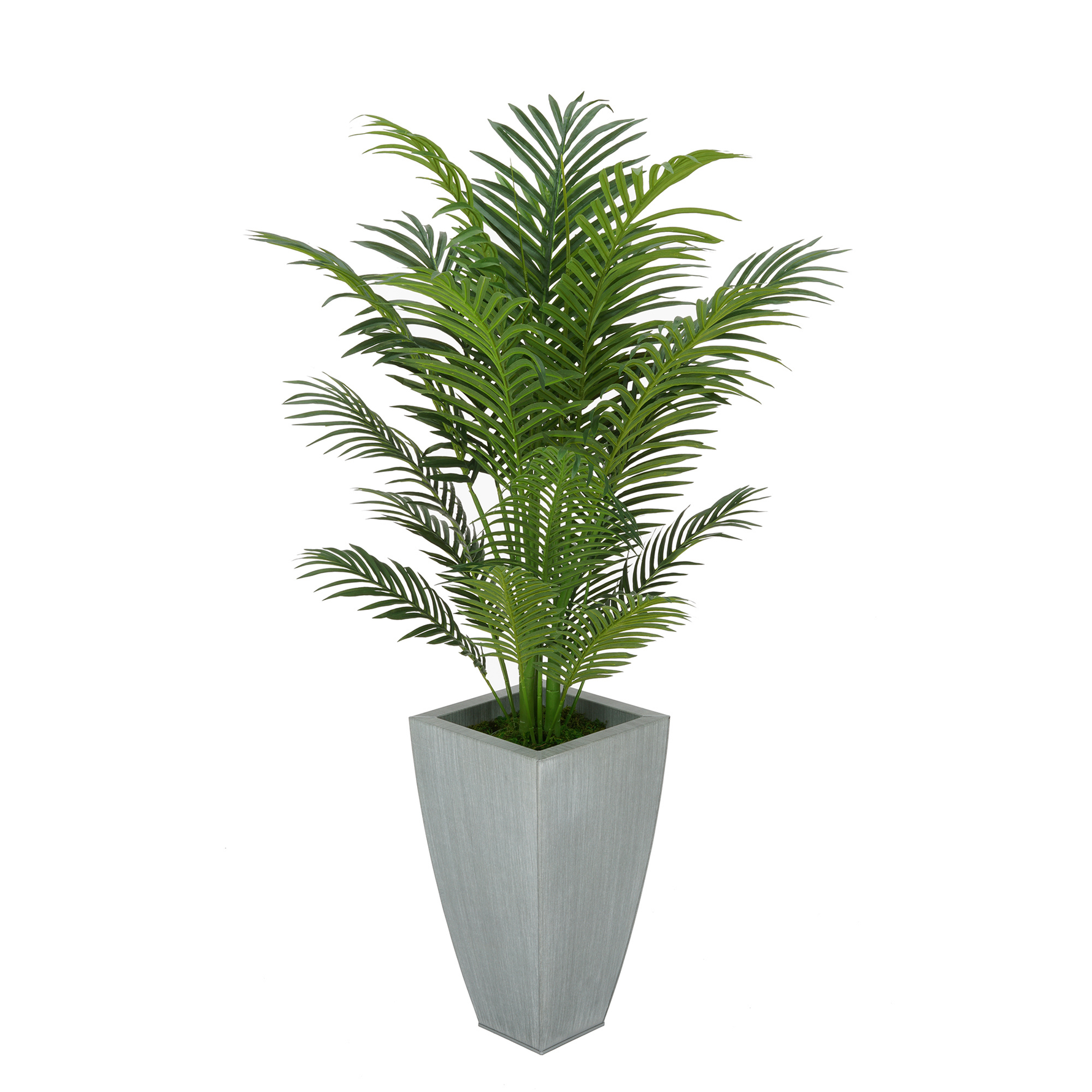 Faux 4.5 ft areca palm in farmhouse silver tapered square zinc against a white background, by House of Silk Flowers.