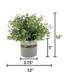 Faux frosted green eucalyptus in bronze-banded grey ceramic pot against a white background, featuring measurements, by House of Silk Flowers.