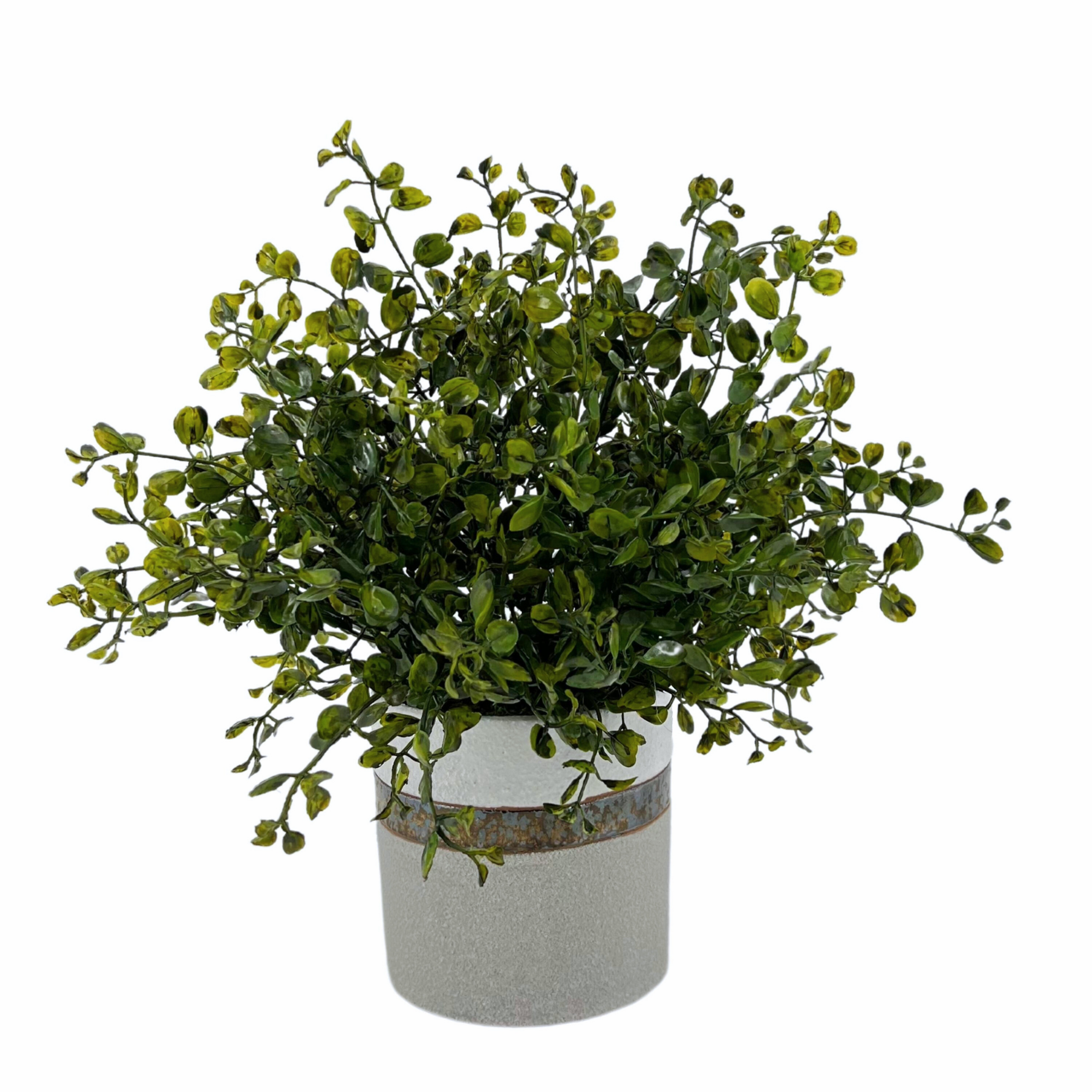 Faux green eucalyptus in bronze-banded grey ceramic pot against a white background, by House of Silk Flowers.