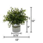 Faux green eucalyptus in bronze-banded grey ceramic pot against a white background, featuring measurements, by House of Silk Flowers.