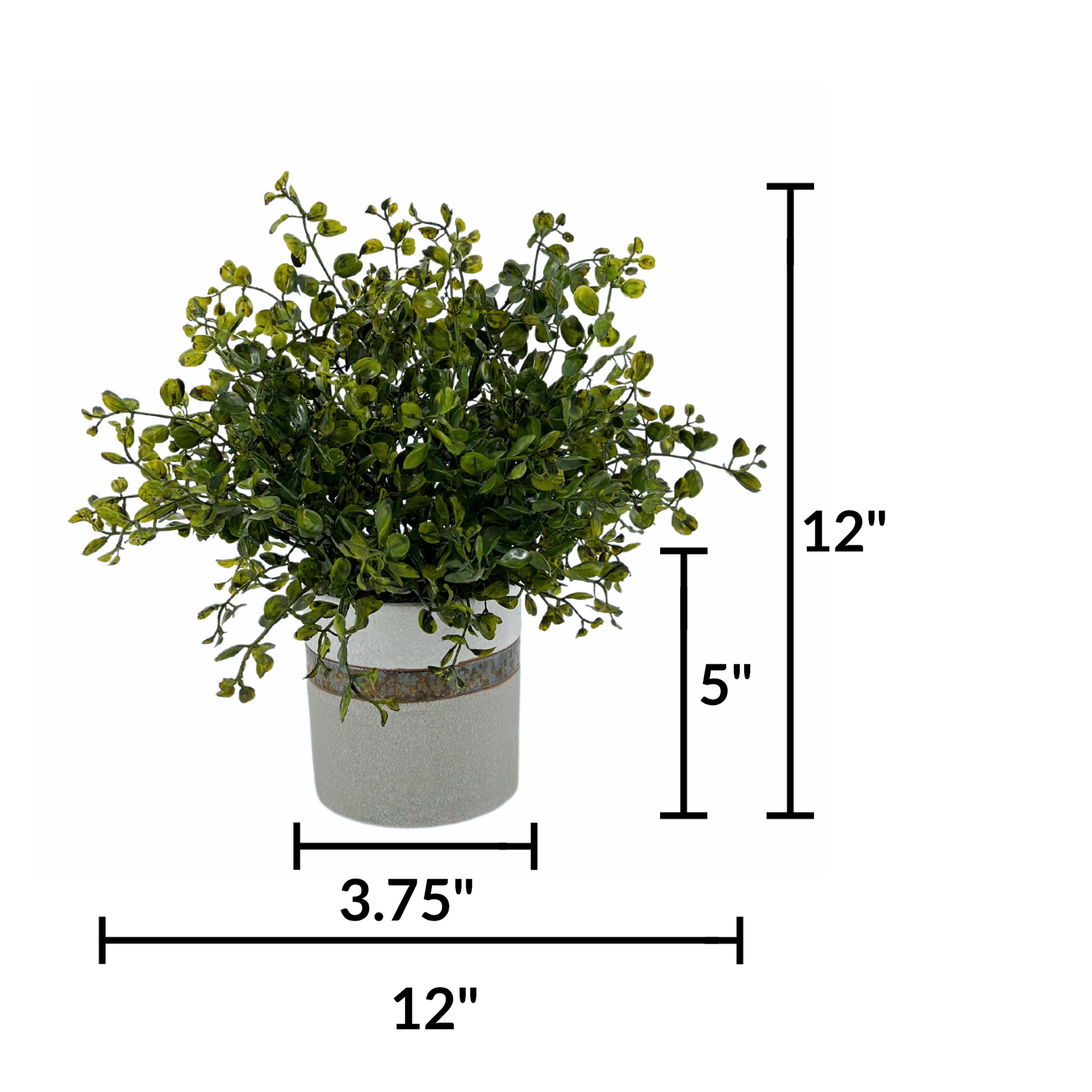 Faux green eucalyptus in bronze-banded grey ceramic pot against a white background, featuring measurements, by House of Silk Flowers.