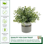 Faux eucalyptus in bronze-banded grey ceramic pot against a white background, featuring quality assurances, by House of Silk Flowers.