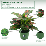 Faux Pink & Green Dieffenbachia in a green nursery pot, highlighting product features on a green/white gradient background, by House of Silk Flowers.