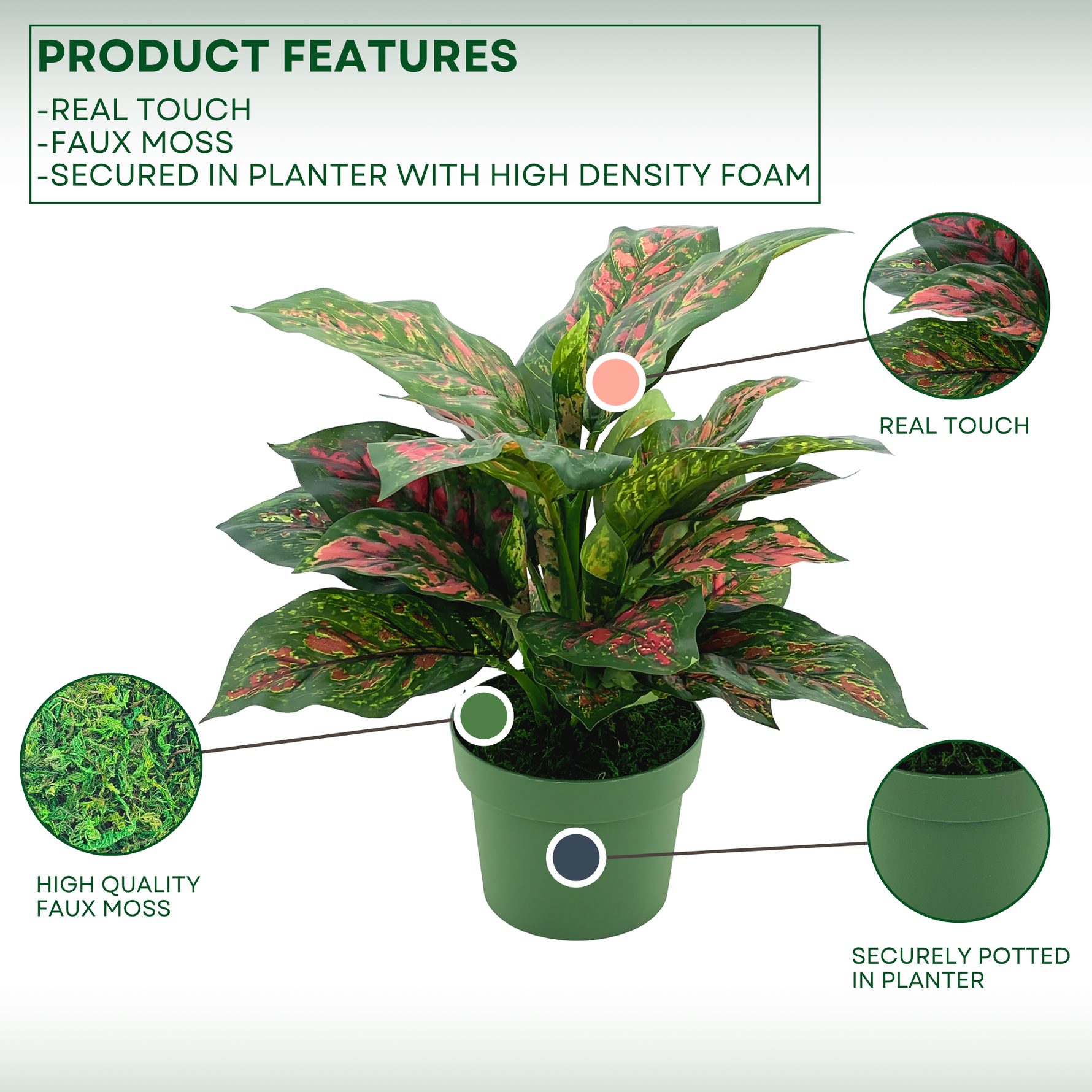 Faux Pink & Green Dieffenbachia in a green nursery pot, highlighting product features on a green/white gradient background, by House of Silk Flowers.