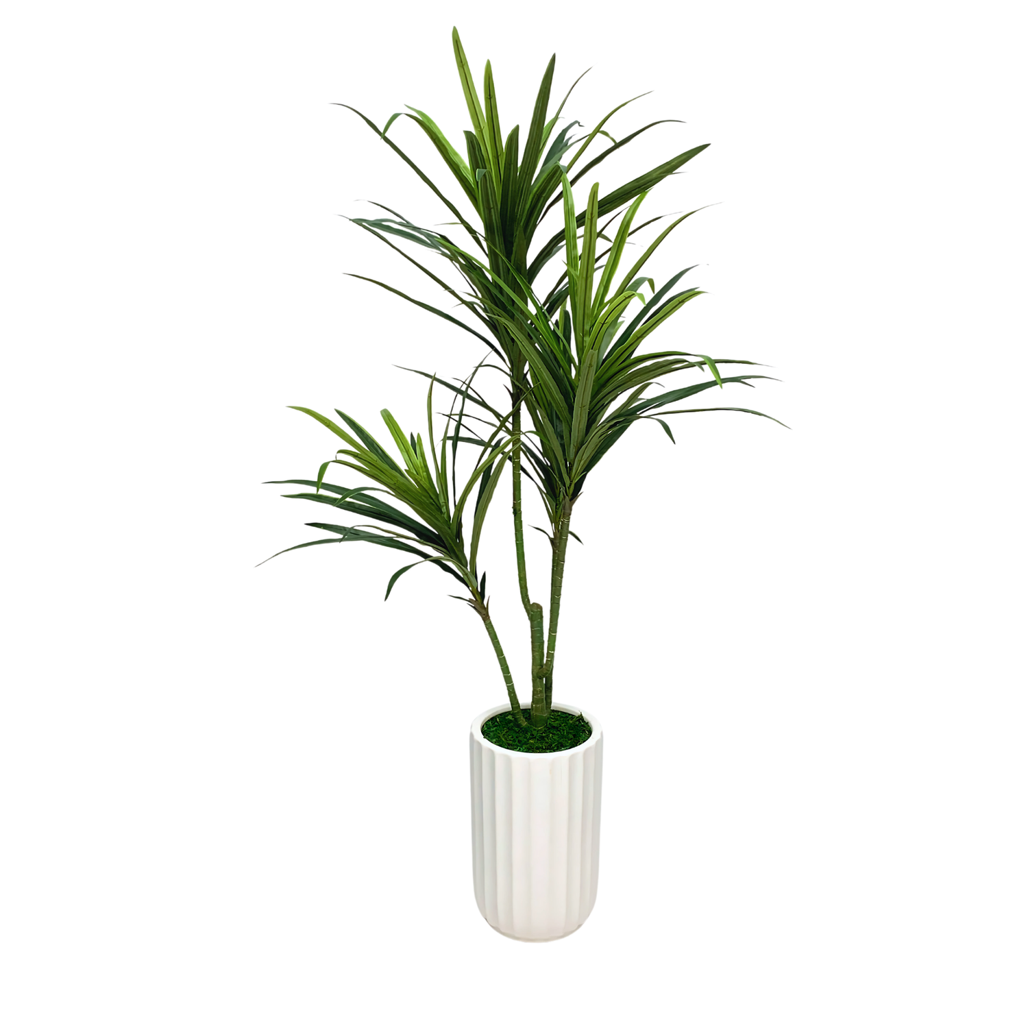 4Ft Faux Dracena in Ribbed Ceramic Cylinder