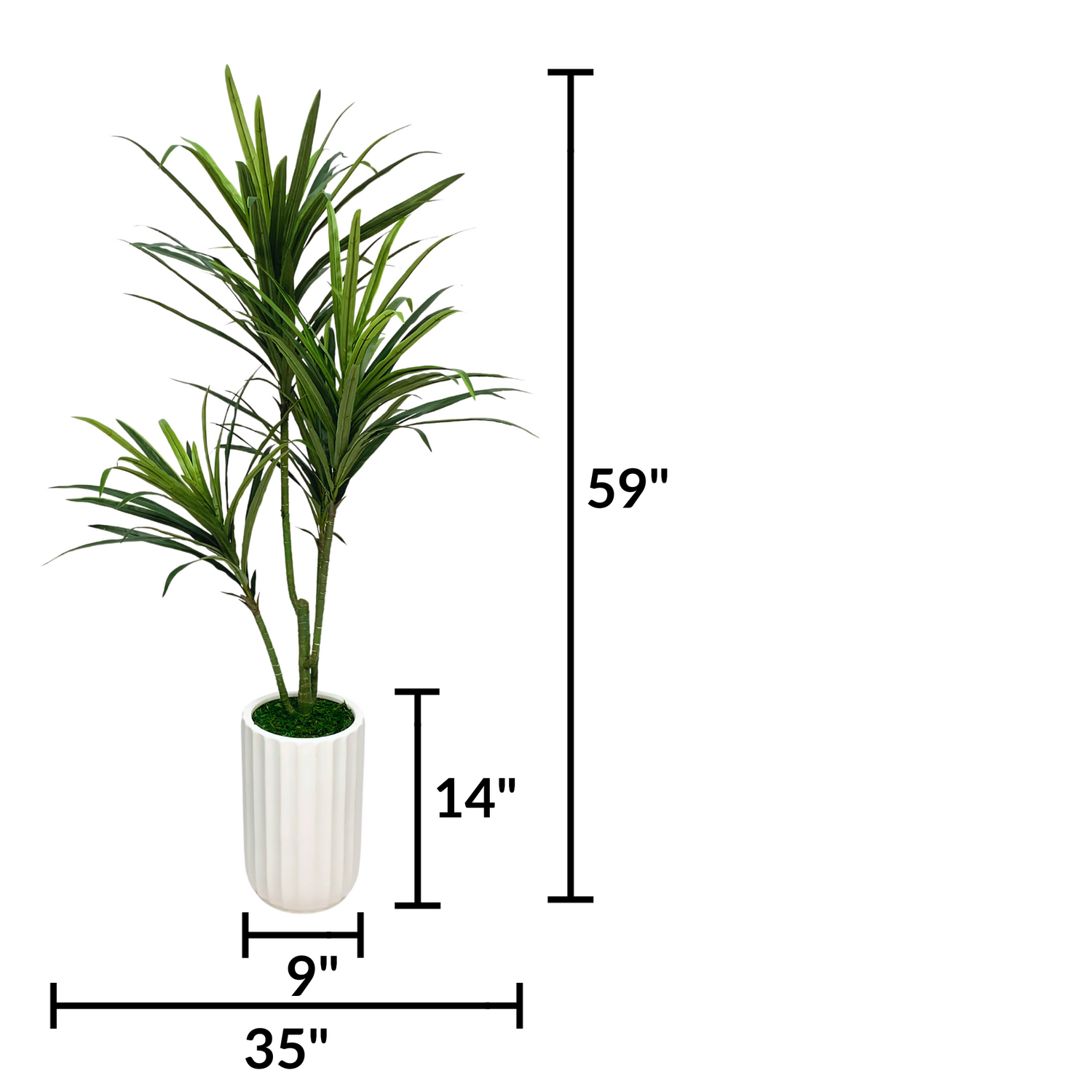 4Ft Faux Dracena in Ribbed Ceramic Cylinder