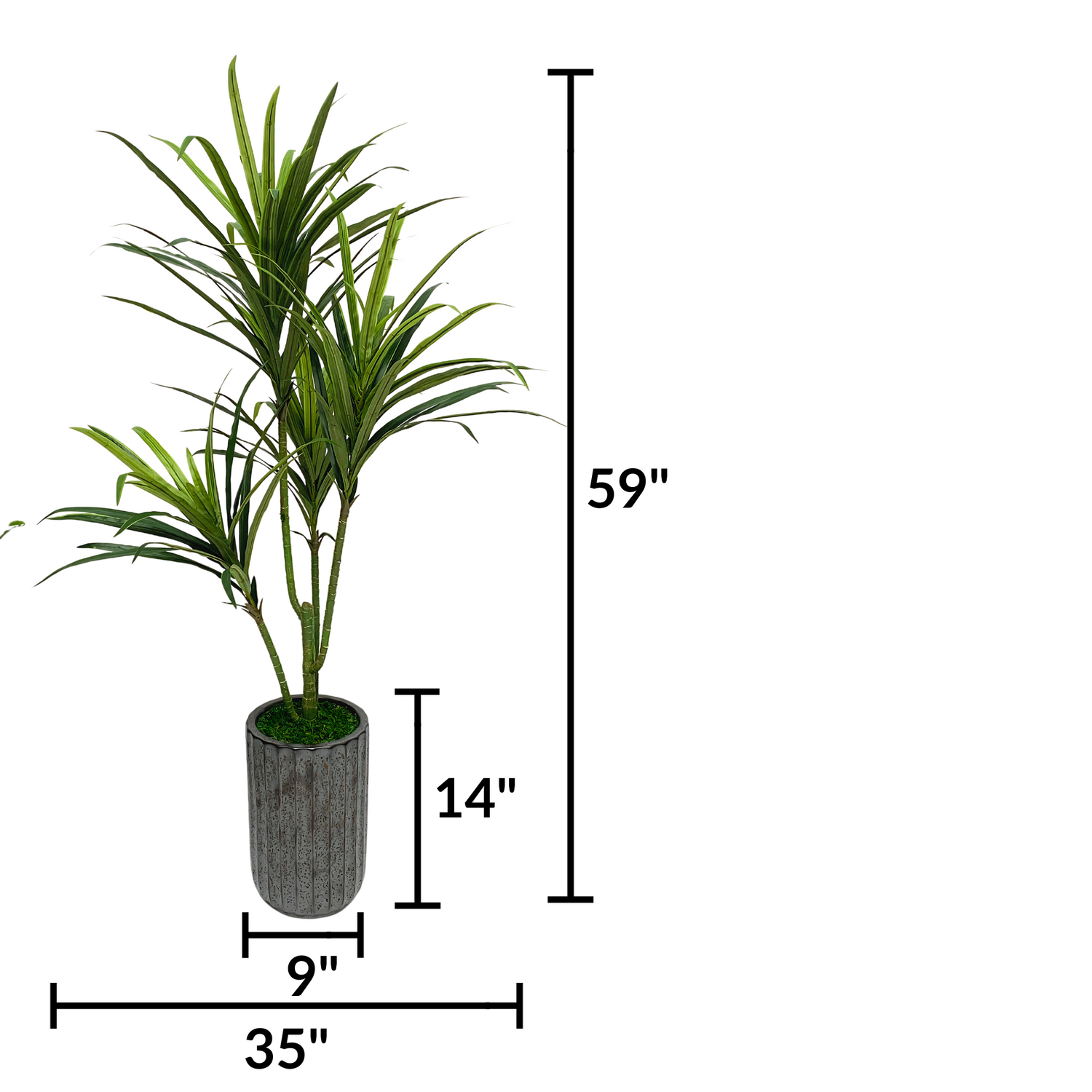 4Ft Faux Dracena in Ribbed Ceramic Cylinder