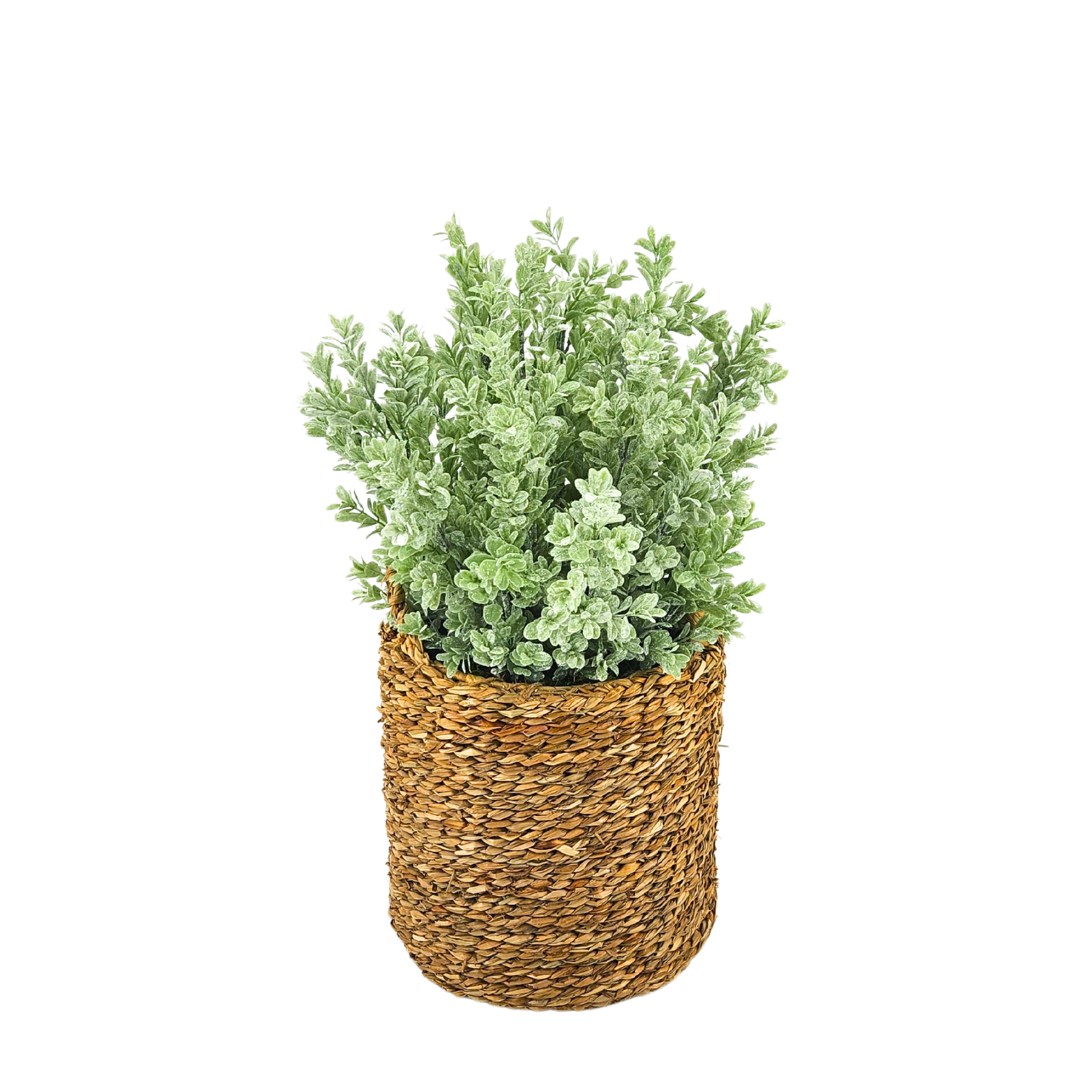 Artificial 20" Powdered Eucalyptus in Small Woven Basket