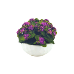 Faux Purple Kalanchoe in Stone White dimpled ceramic bowl, on a white background, by House of Silk Flowers.