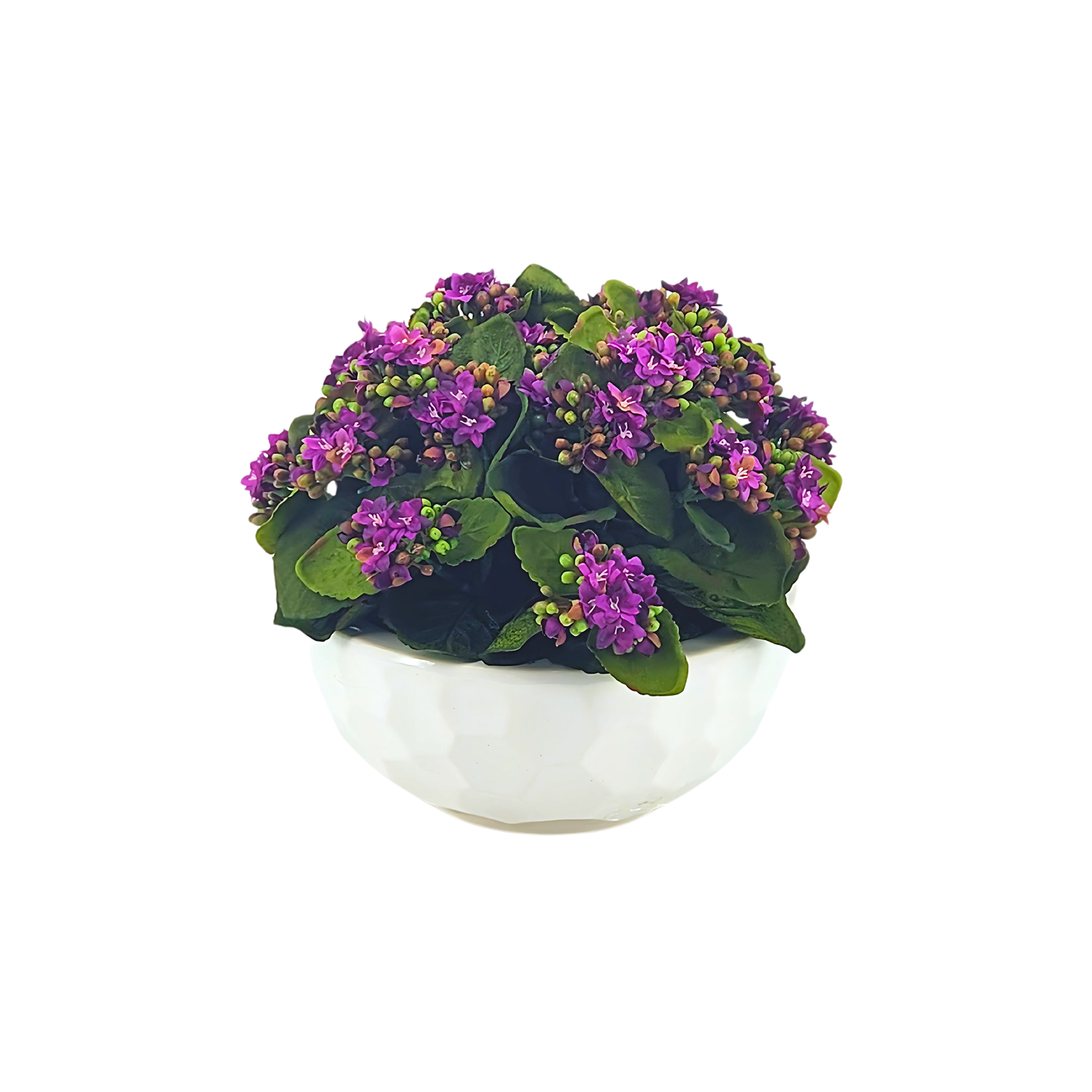 Faux Purple Kalanchoe in Stone White dimpled ceramic bowl, on a white background, by House of Silk Flowers.