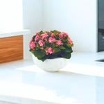 Faux Pink Kalanchoe in Stone White dimpled ceramic bowl, sitting on a sleek white countertop, by House of Silk Flowers.