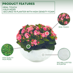 Faux Pink Kalanchoe in Stone White dimpled ceramic bowl, on a white/green gradient background, highlighting product features, by House of Silk Flowers.