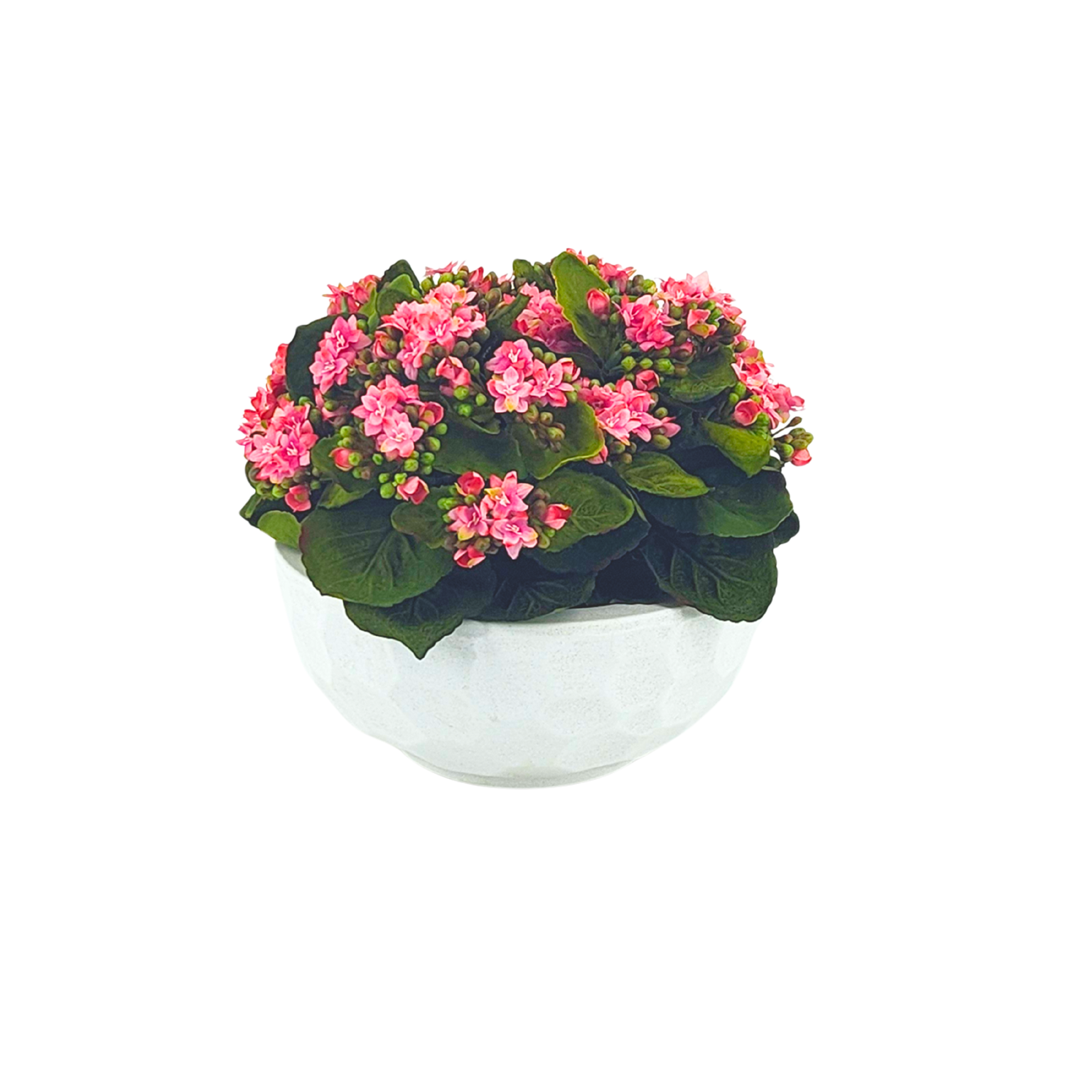 Faux Pink Kalanchoe in Stone White dimpled ceramic bowl, on a white background, by House of Silk Flowers.