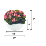 Faux Pink Kalanchoe in Stone White dimpled ceramic bowl, featuring product measurements on a white background, by House of Silk Flowers.