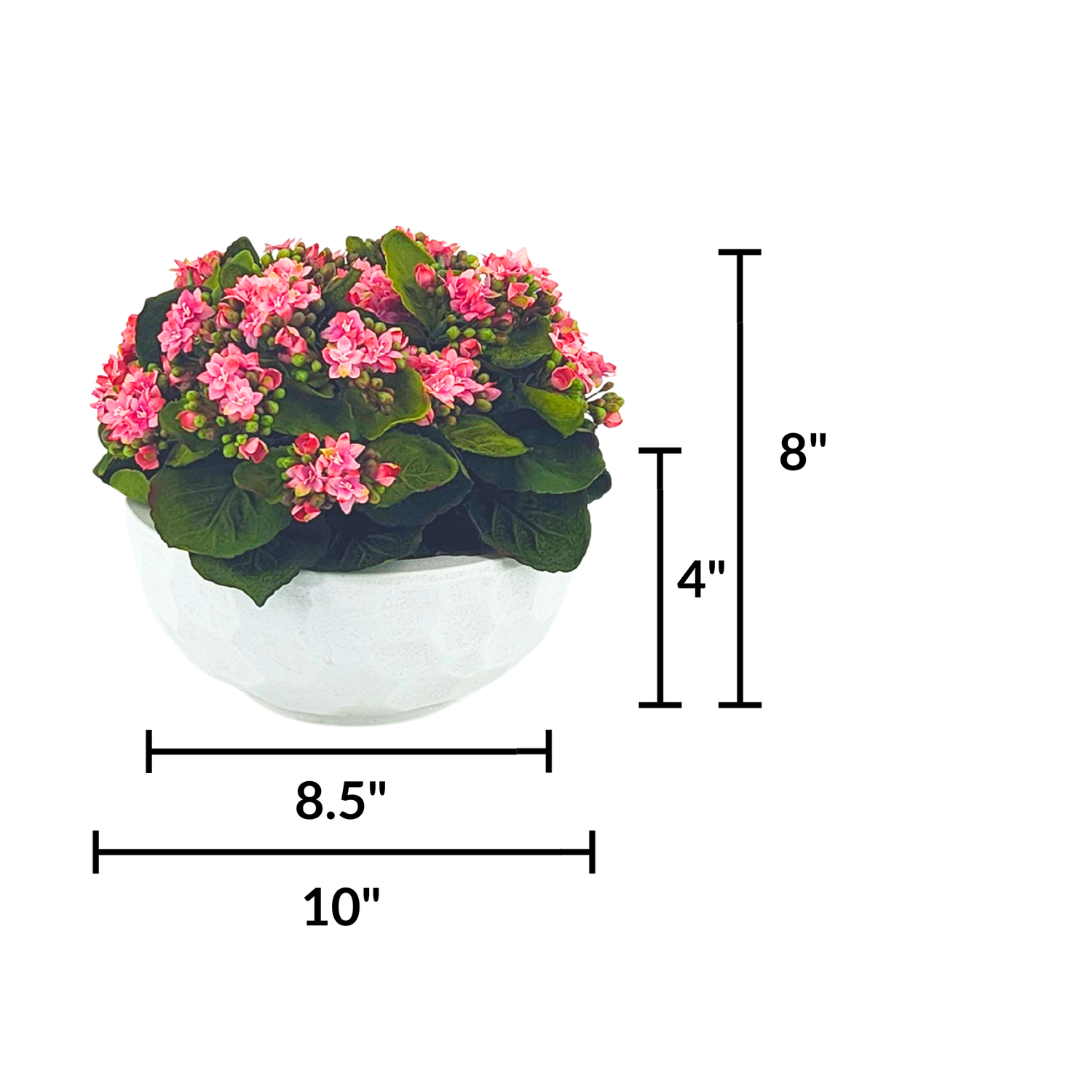 Faux Pink Kalanchoe in Stone White dimpled ceramic bowl, featuring product measurements on a white background, by House of Silk Flowers.